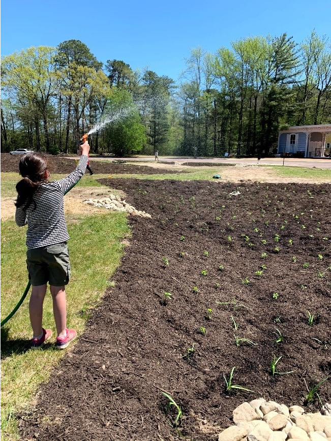 Check out the latest Water Pages eNewsletter! conta.cc/3hO8n1g