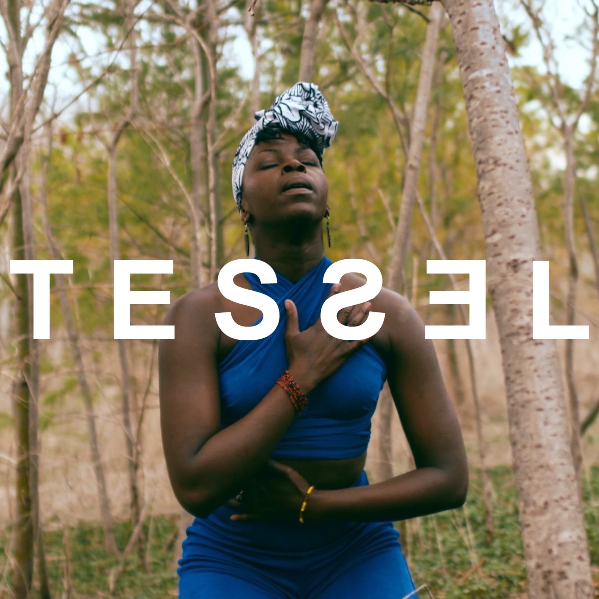 OntarioPresents's tweet photo. FREE STREAMING: The world premiere of #TESSELfilm is now live! A profound artistic
statement which unites 14 Black dancemakers and 21 dance presenters from all across Canada. An original @esiemensah creation. https://t.co/0WiK0MoYdM