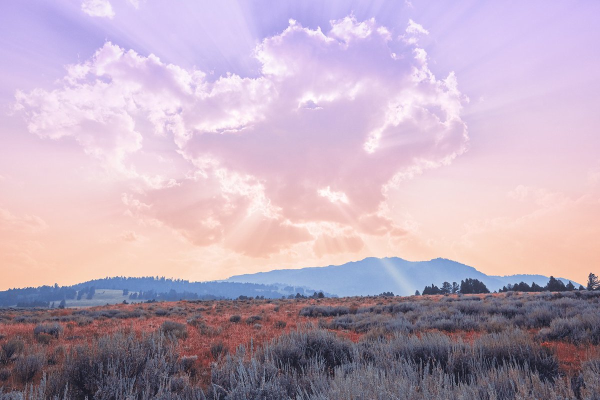 MTphoto_NFT's tweet photo. Colorscape: WIP
#NFTCommunity #NFTdrop #matttaylorphoto #nftart #nftcollector #cryptoart #withFND #landscapephotography #Colorscape #NFTs https://t.co/sepBwZRnON