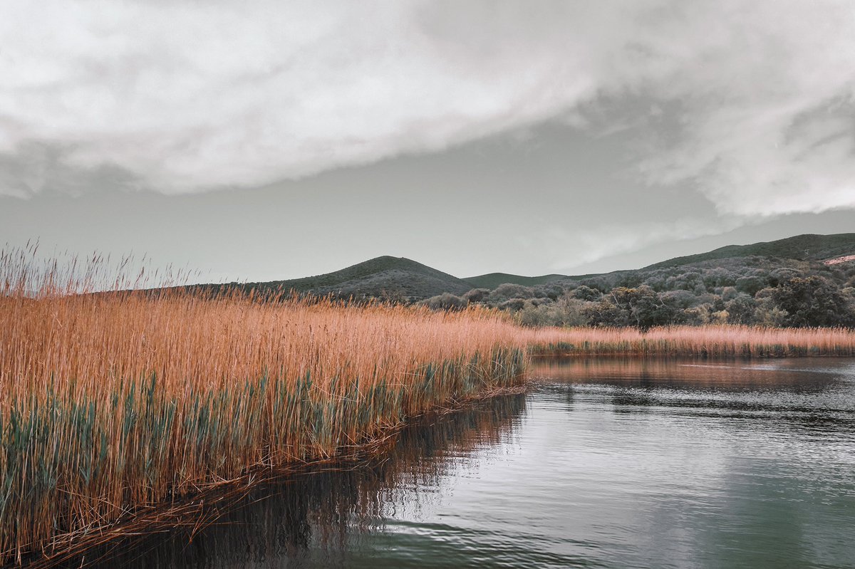 MTphoto_NFT's tweet photo. Colorscape: WIP
#NFTCommunity #NFTdrop #matttaylorphoto #nftart #nftcollector #cryptoart #withFND #landscapephotography #Colorscape #NFTs https://t.co/sepBwZRnON