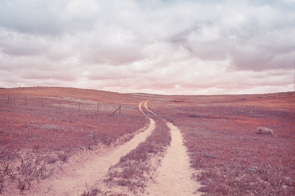 MTphoto_NFT's tweet photo. Colorscape: WIP
#NFTCommunity #NFTdrop #matttaylorphoto #nftart #nftcollector #cryptoart #withFND #landscapephotography #Colorscape #NFTs https://t.co/sepBwZRnON