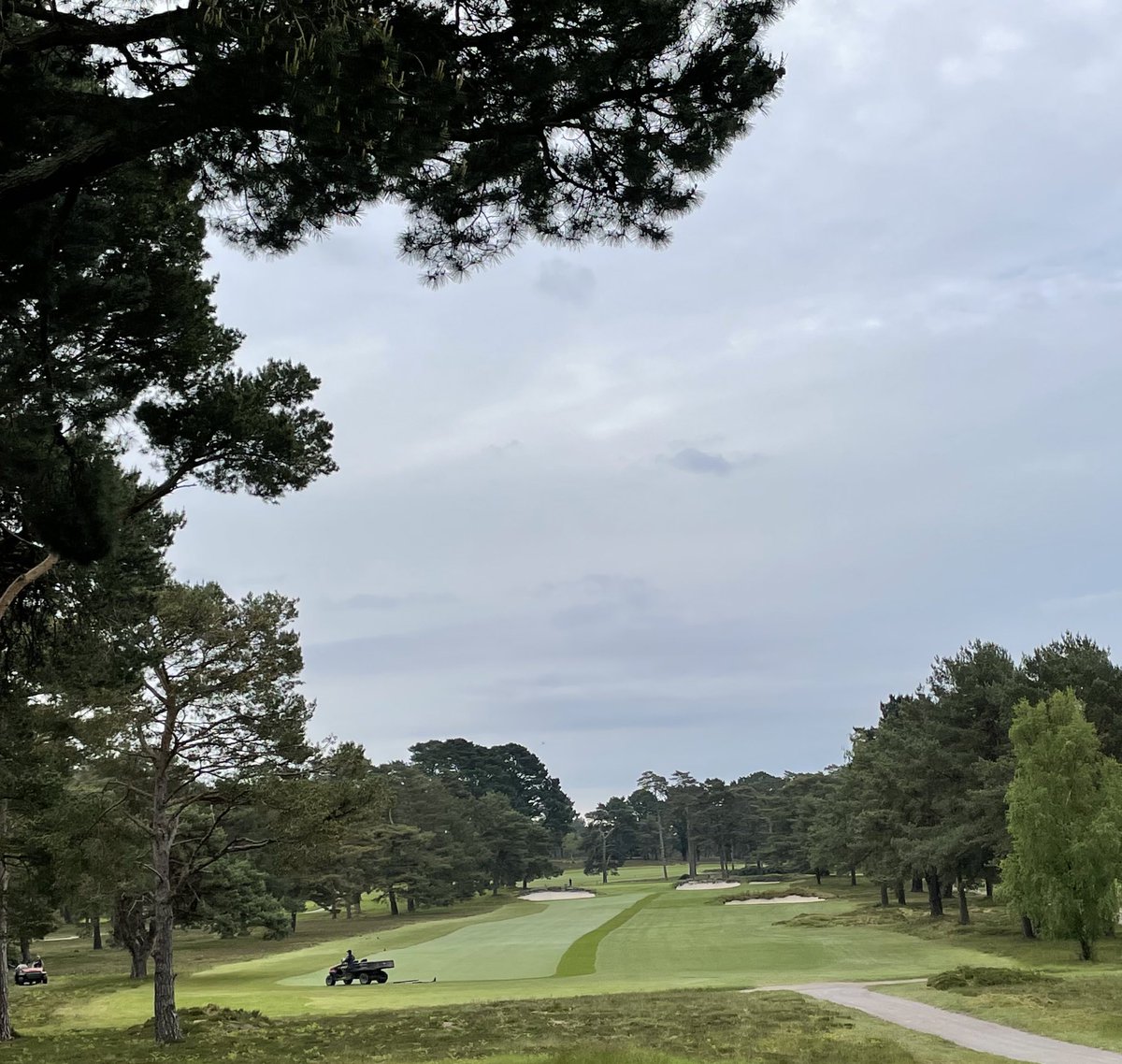 Rich Keith (@r2keith) on Twitter photo Festival of golf week complete <a href="/FerndownGC/">Ferndown Golf Club</a>, benchmark set for the rest of the season under some testing weather conditions in the build up Festival of golf week complete <a href="/FerndownGC/">Ferndown Golf Club</a>, benchmark set for the rest of the season under some testing weather conditions in the build up