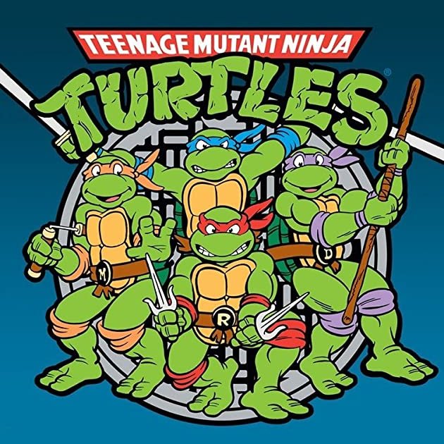 ComplexPop's tweet photo. Seth Rogen announces release date for ‘Teenage Mutant Ninja Turtles’ animated reboot. 🎬🐢

Details: https://t.co/Gg31I5InW6 https://t.co/f99sEYgvb0