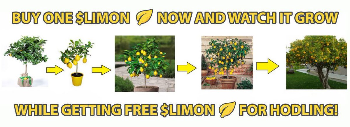 JBlue43892990's tweet photo. #LimonGroup #LimonHeads #LIMONARMY #25000XCoin We are here!! Join us!!! Ride the GREEN Tidal wave! 🔥🚀🍋🍋🍋🍋🍋🍋🍋🍋Contract Address: 0x712C0a4659a7C31A81FD5A47a2D83c63A07d7D06 @thelimongroup @Crypto10000001 @DjPrestigeUk @CryptoGPO @CryptoZeusYT @CryptoBilioners https://t.co/KWl3OSFhF7
