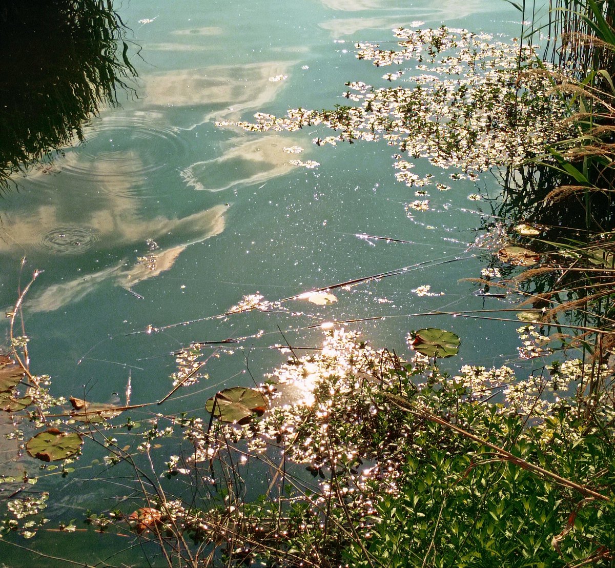 lisamxp1's tweet photo. # Seven Lakes #Comabbio https://t.co/NEeYjDVf2e