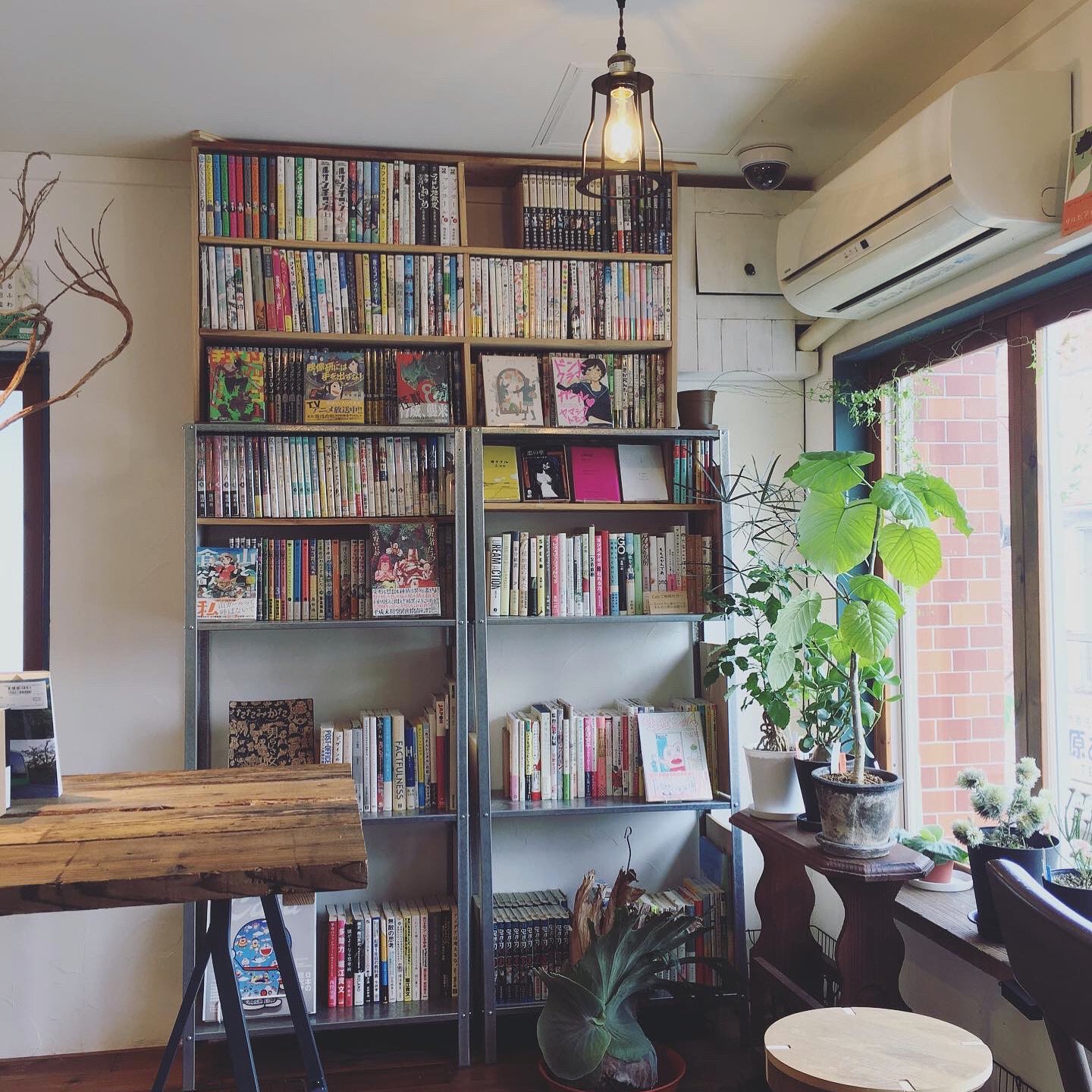 奇妙な植物園 Bizarre Cafe Twitter