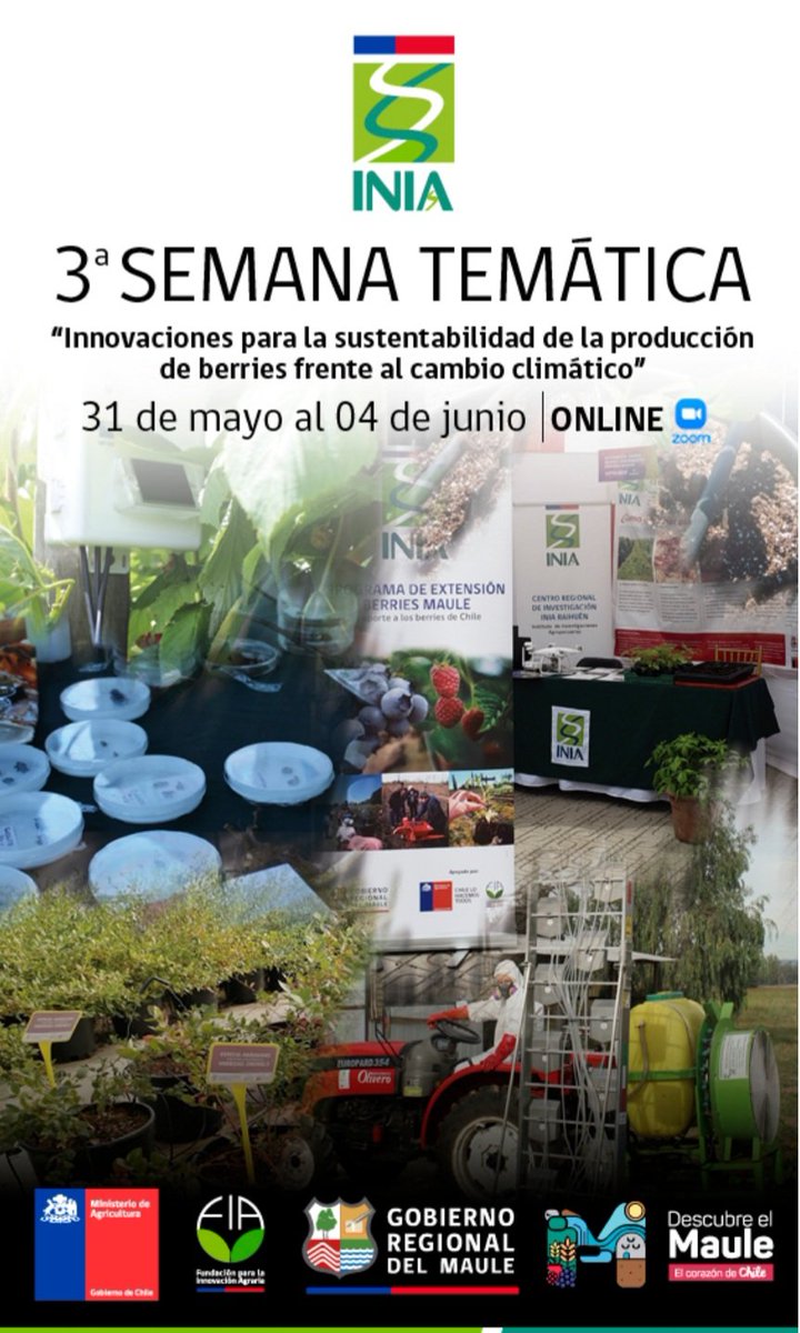 INIARaihuen's tweet photo. Segunda jornada de encuentro en el marco del #programaextensionberries de @iniachile @FIA_Chile y Gobierno Regional del Maule. Hoy junto a Cecilia Céspedes conversando sobre Manejo del suelo como adaptación al cambio climático, prácticas, estrategias y experiencias. https://t.co/XNHlVEcOzK