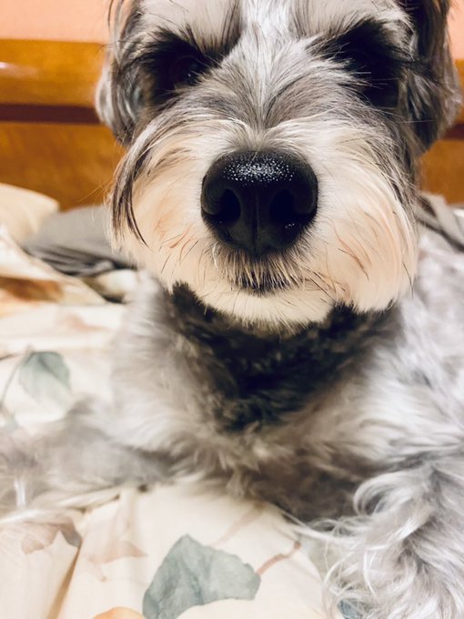 ใ้ผปใใคใใค๐ถ๐ถ
ใๅฃใๅฏๆใ๐๐
ใใผใฃใจ่ฆใฆใใใใ
(ไบบ'3`*)๐
(่ฆชใใซw)
ใใใใใใชใใณใฐใซ่กใๆๆใ ใโฌ