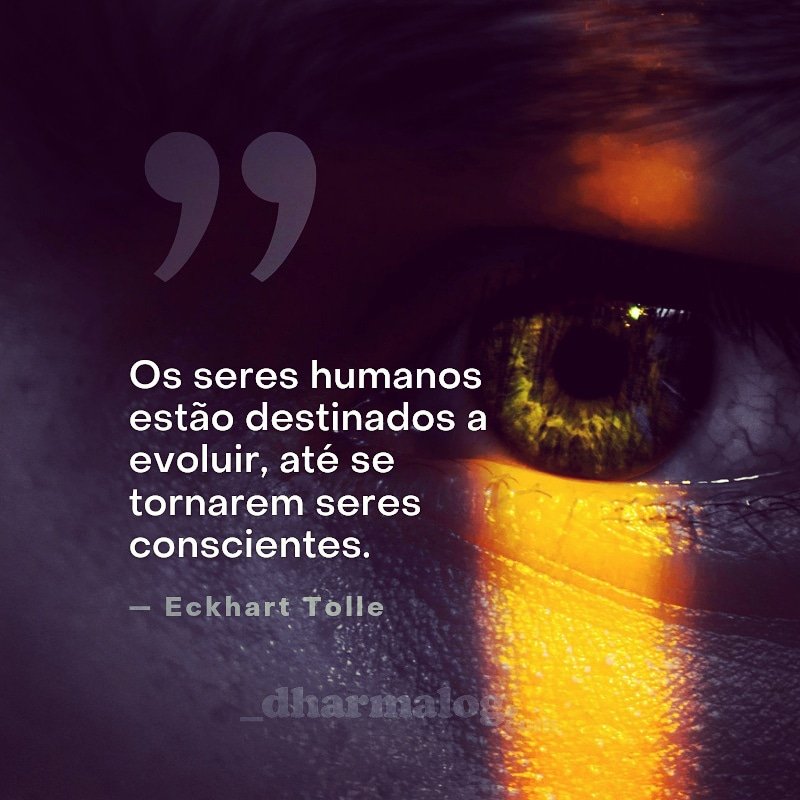 dharmalog's tweet image. 