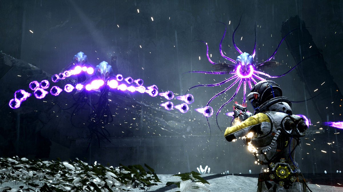 Jake Randall tweet media