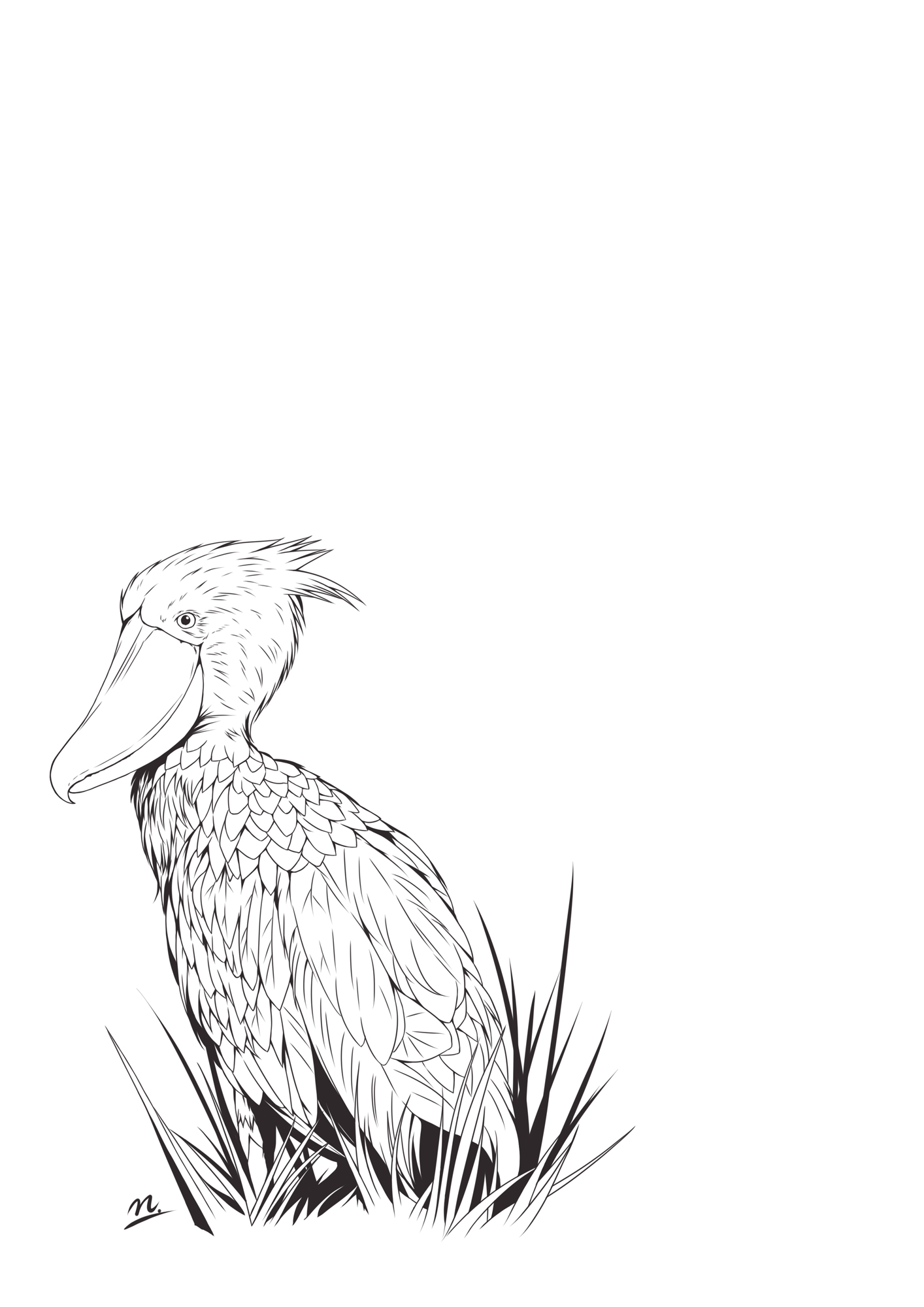 Nemu ハシビロコウ イラスト 動物 イラスト好きな人と繋がりたい 絵描きさんと繋がりたい 絵柄が好みって人にフォローされたい T Co E6rqcmsbvu Twitter