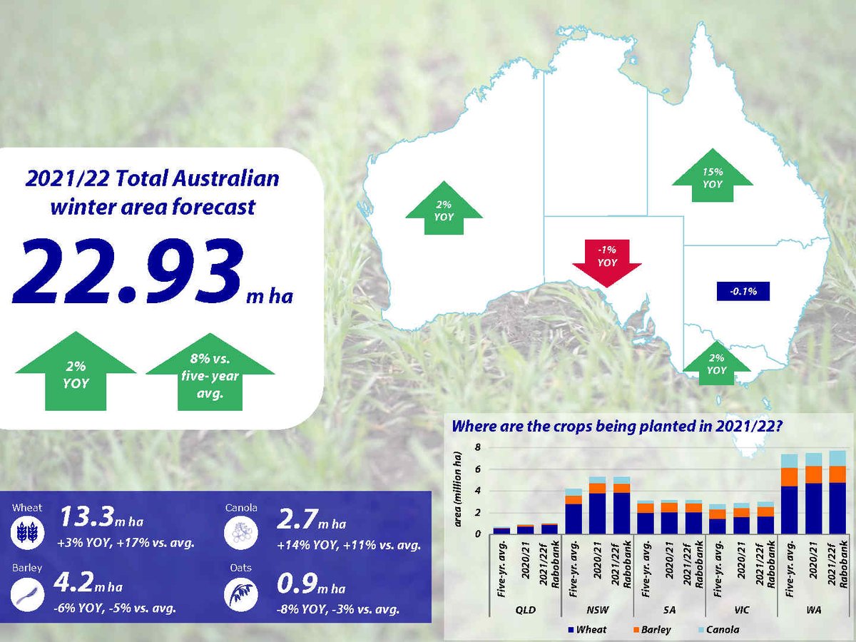skyeward80's tweet photo. "Fields of Gold" @RabobankAU @kalischgordon Winter Crop Outlook with Aus winter crop planting near-record levels at 22.93m ha. On track for above-average winter grain crop est. wheat (28.9mt), barley (10mt) &amp; canola (4.1mt) 
https://t.co/PcrFl6q8Cs https://t.co/u7SHvcwCg4