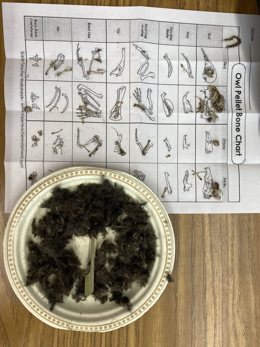 jnaylen's tweet image. Fantastic day #ArcolaSchool @SECPSD with @SkScienceCentre #MicrosoftTeams #scienceworkshops Many thanks to @MosaicCompany for your #sponsorship We had a great day #dissecting #owlpellets #coresampling #seedgrowth #seedmanipulation