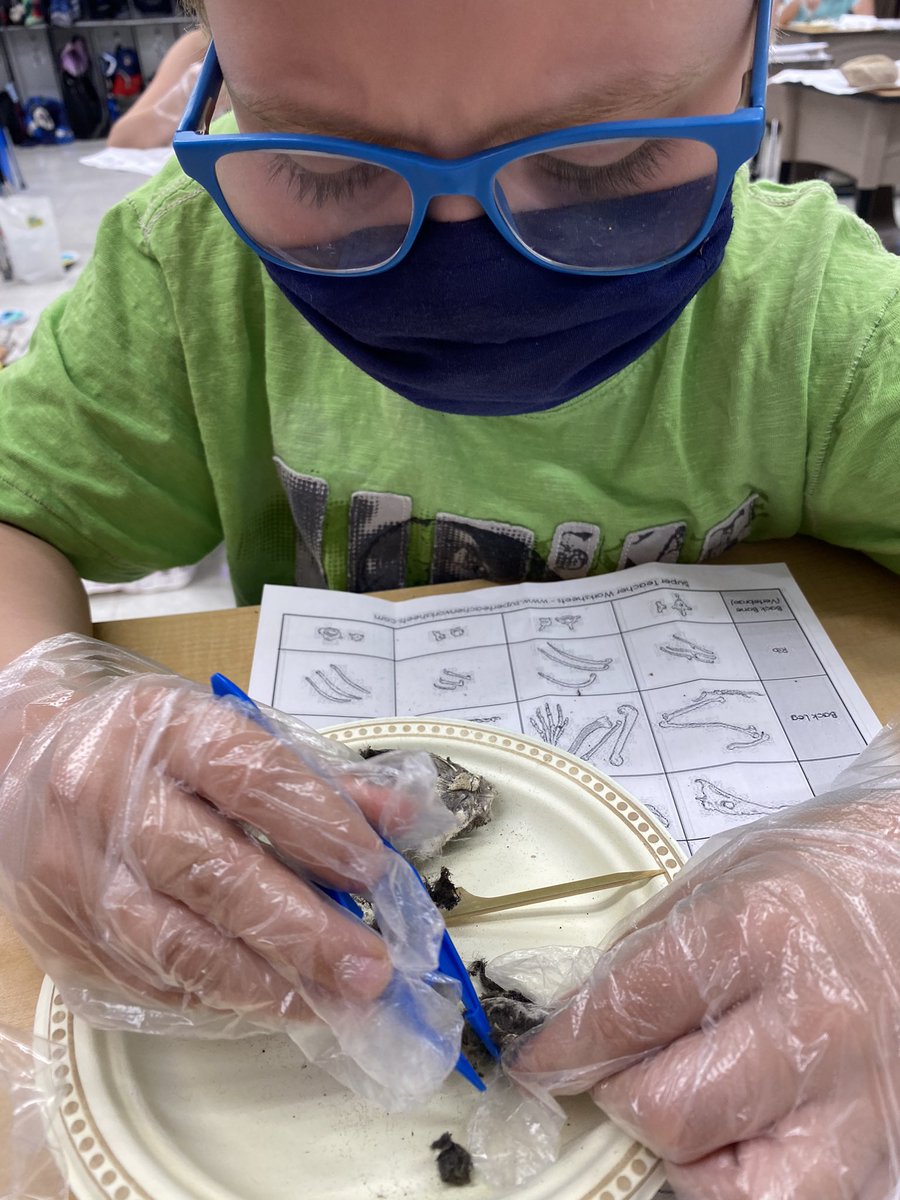 jnaylen's tweet image. Fantastic day #ArcolaSchool @SECPSD with @SkScienceCentre #MicrosoftTeams #scienceworkshops Many thanks to @MosaicCompany for your #sponsorship We had a great day #dissecting #owlpellets #coresampling #seedgrowth #seedmanipulation
