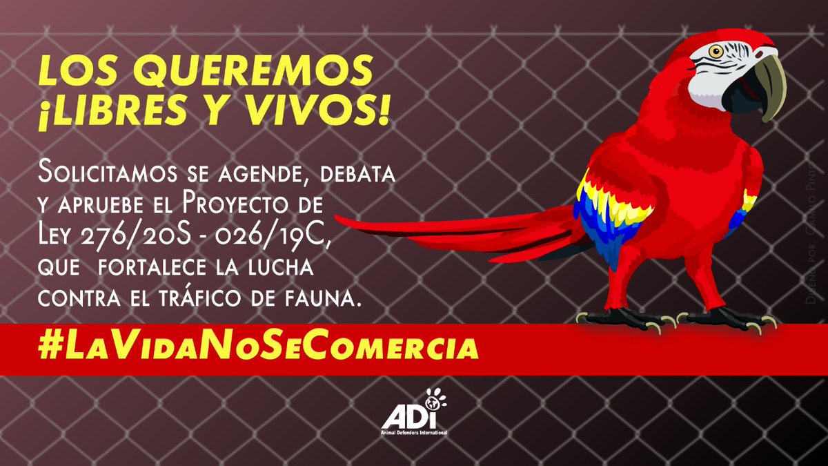 CSeresNaturales's tweet photo. Es hora de debatir y aprobar el PL 276/20 S – 026/19 C, por favor @ArturoCharC @jaimeduranbar @SandraComunes agenden este importante proyecto que cuenta con la ponencia de @JorgeLondonoU @noragarciab @GGarciaRealpe @DidierLobo_Ch @JERobledo. Los queremos ¡libres y vivos! https://t.co/ybdRp3wiak
