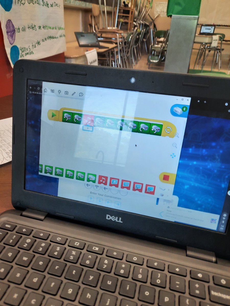 Chelsea O’Meally tweet media