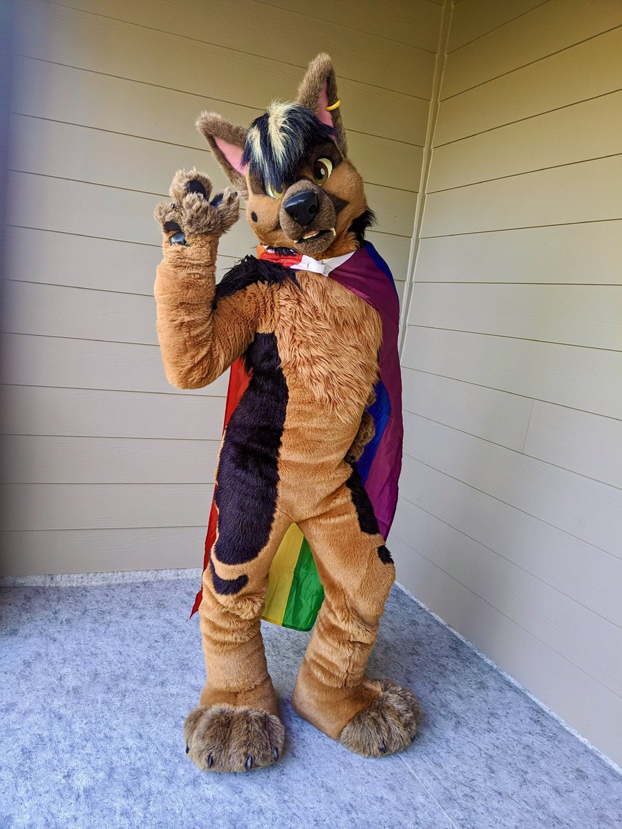 wereshepdor.bsky.social on X: Happy #Pride2021 !! PROUD GAY, DEMI, HEAD  CLICKING, DANCING DOGGO HERE TO TELL YOU: Be proud of everything that you  are. I'M proud of who you are. Love your