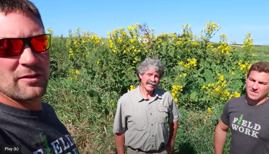 fieldworktalk's tweet photo. If they want to support #RegenerativeAgricutlure, “Maybe the banking industry could offer growers longer term operating notes,” says @farmmillennial on how banks can help farmers try new things. https://t.co/oDtHBc9qze #AgFin #podcast https://t.co/me7A1KkQY1