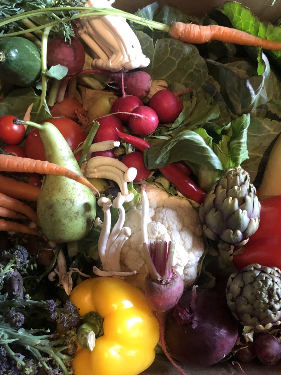 So happy to be eating tasty, fresh and beautiful food again! Loving the <a href="/jtattshotmailc1/">happy hackers</a> for pick up, thanks <a href="/jaynehussey45/">Jayne Hussey</a> and Sean 🥳🙏❤️