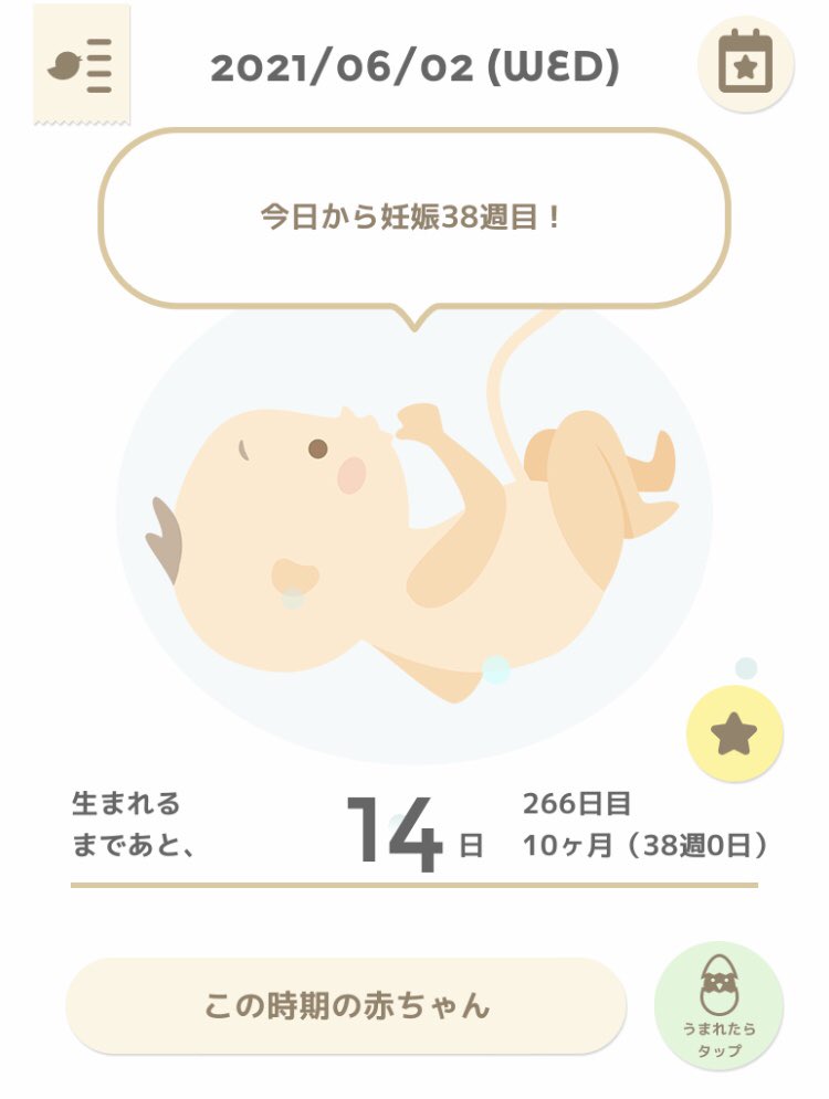 妊娠38週 Twitter Search 妊娠38週 Twitter Search