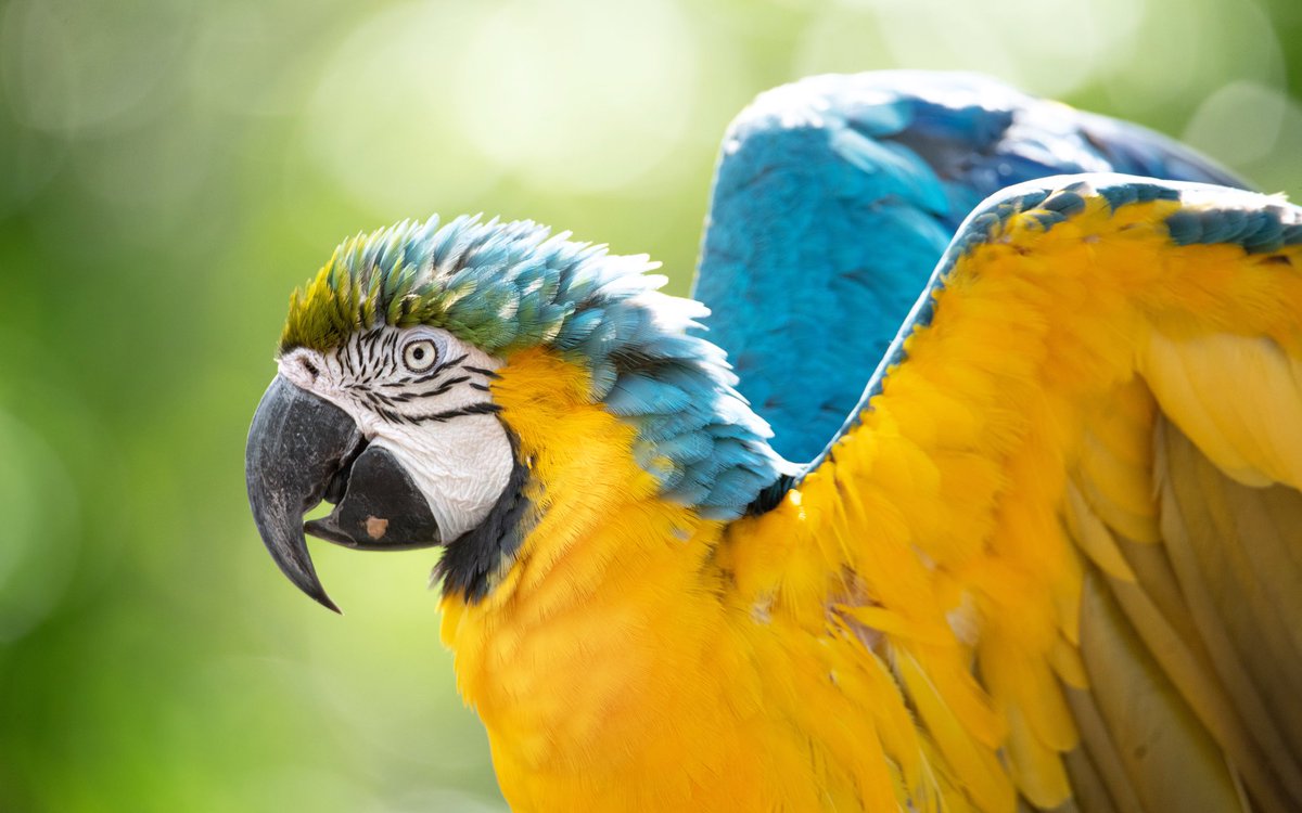 Wishing you the happiest #pridemonth from our Australia Zoo family. 🌈💚💙💛 Sending all my love to the LGBTQIA+ community.