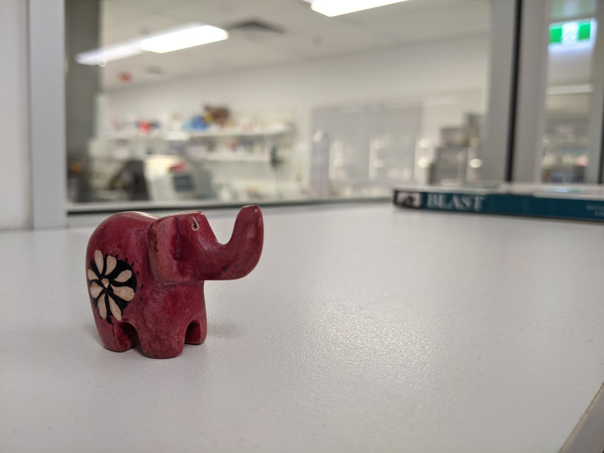 Binfielephant settled into new home thanks <a href="/technadele/">Adele Barug</a>