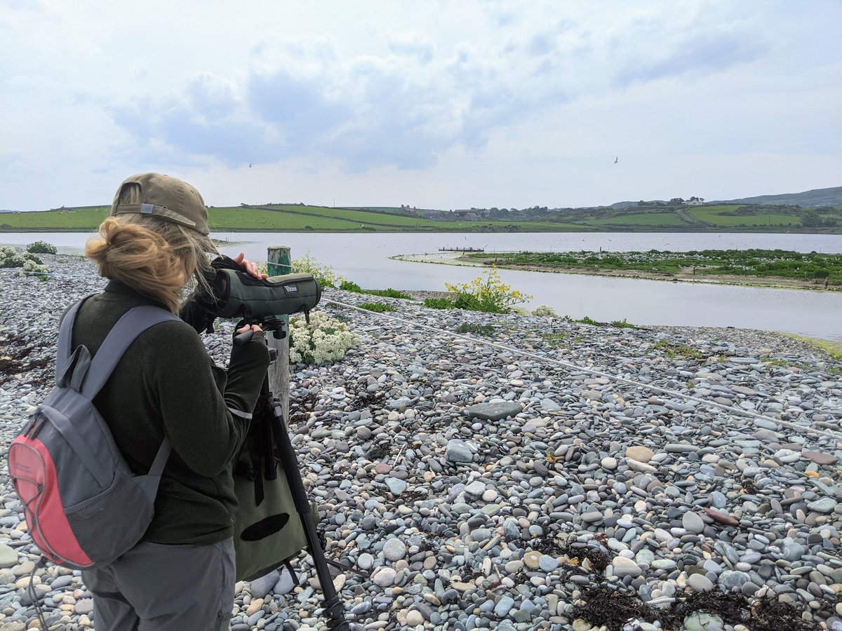 Jonni Price tweet media