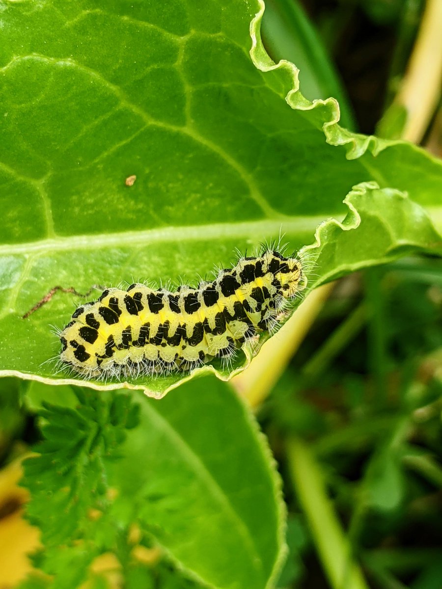 Jonni Price tweet media