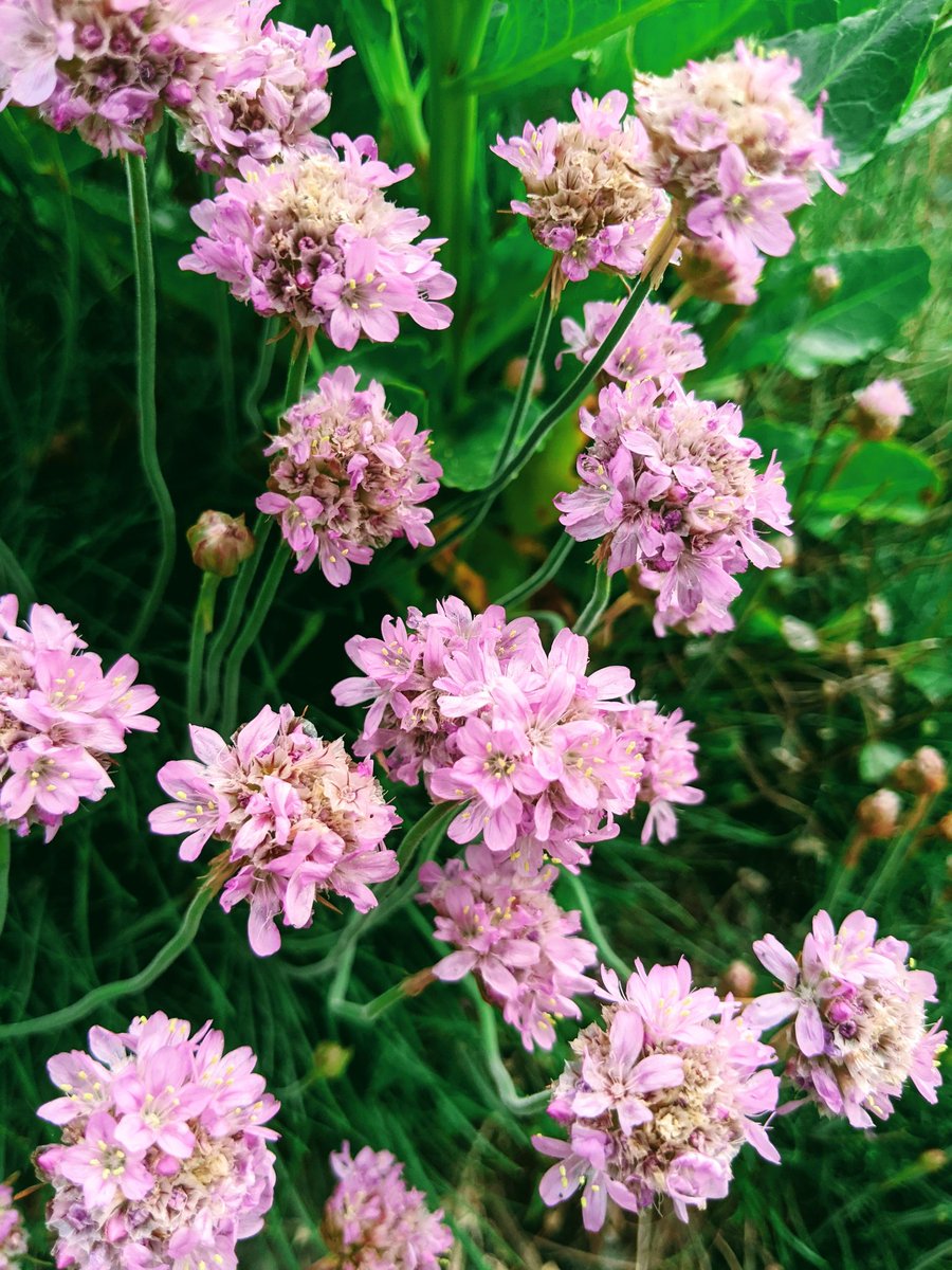 Jonni Price tweet media