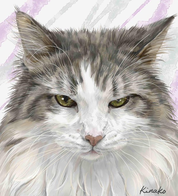 ノルウエージャンフォレストキャットのtwitterイラスト検索結果