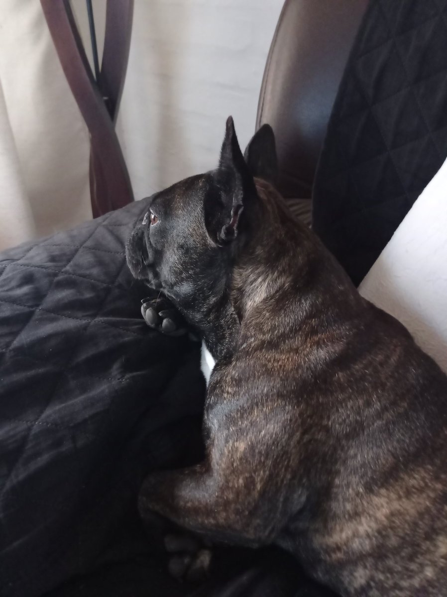 Esperando la orden de quitar la pintada