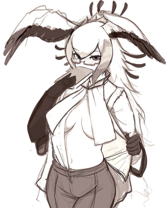 この襟なんていうの 