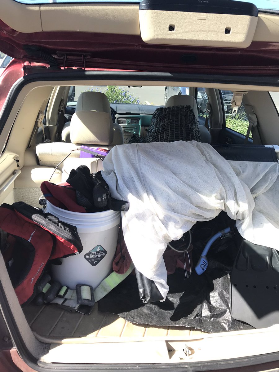 Me: why does my car always smell like death? It’s so unfair! Also me: