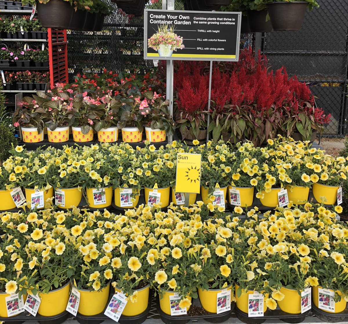 Linda Burkins tweet media