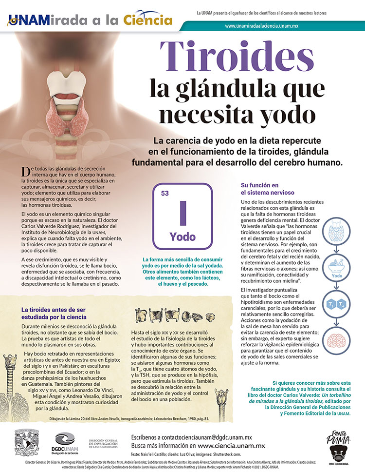 Boletín El faro UNAM on X: La forma más sencilla de consumir yodo es por  medio de la sal yodada🧂, los lácteos🥛, el huevo🥚 y el pescado🐟 vía  @DGDCUNAM @Ciencia_UNAM  /