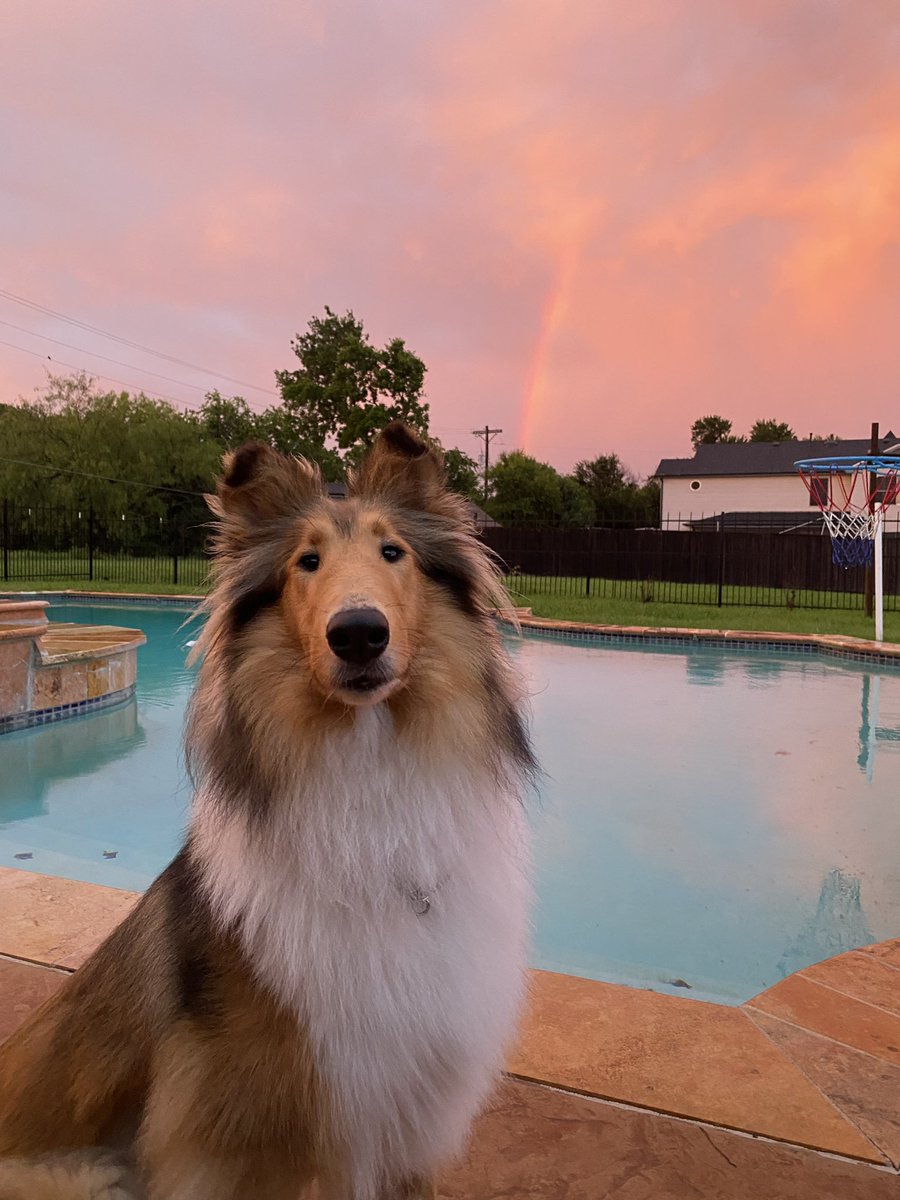HOWDY! I have to share the cotton candy rainbow over my pool with y’all! Isn’t it BEAUTIFUL?! 🌈😍