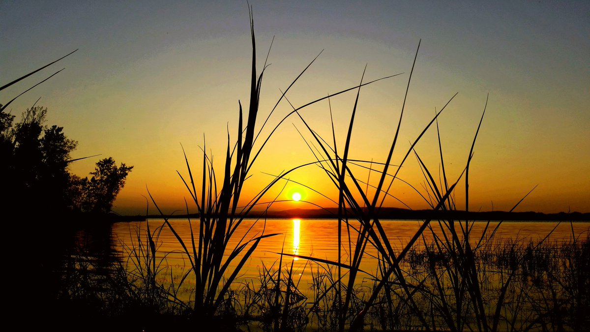 Another One of my favorite and most popular original Jeffism photographs .