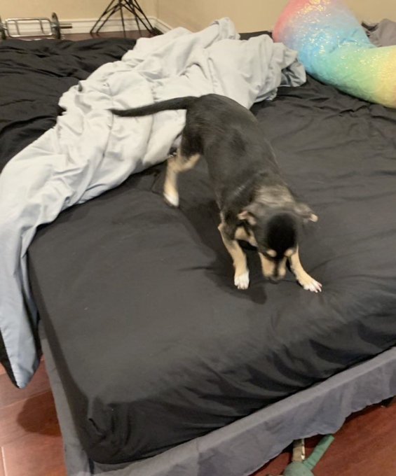 Looking actively around the area and asking questions ... and flyers... this costs money, if you&rsquo;d like