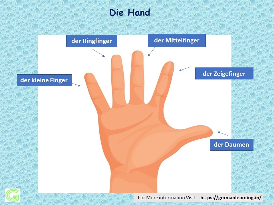 German learning (@Grmanlearning) / Posts / X