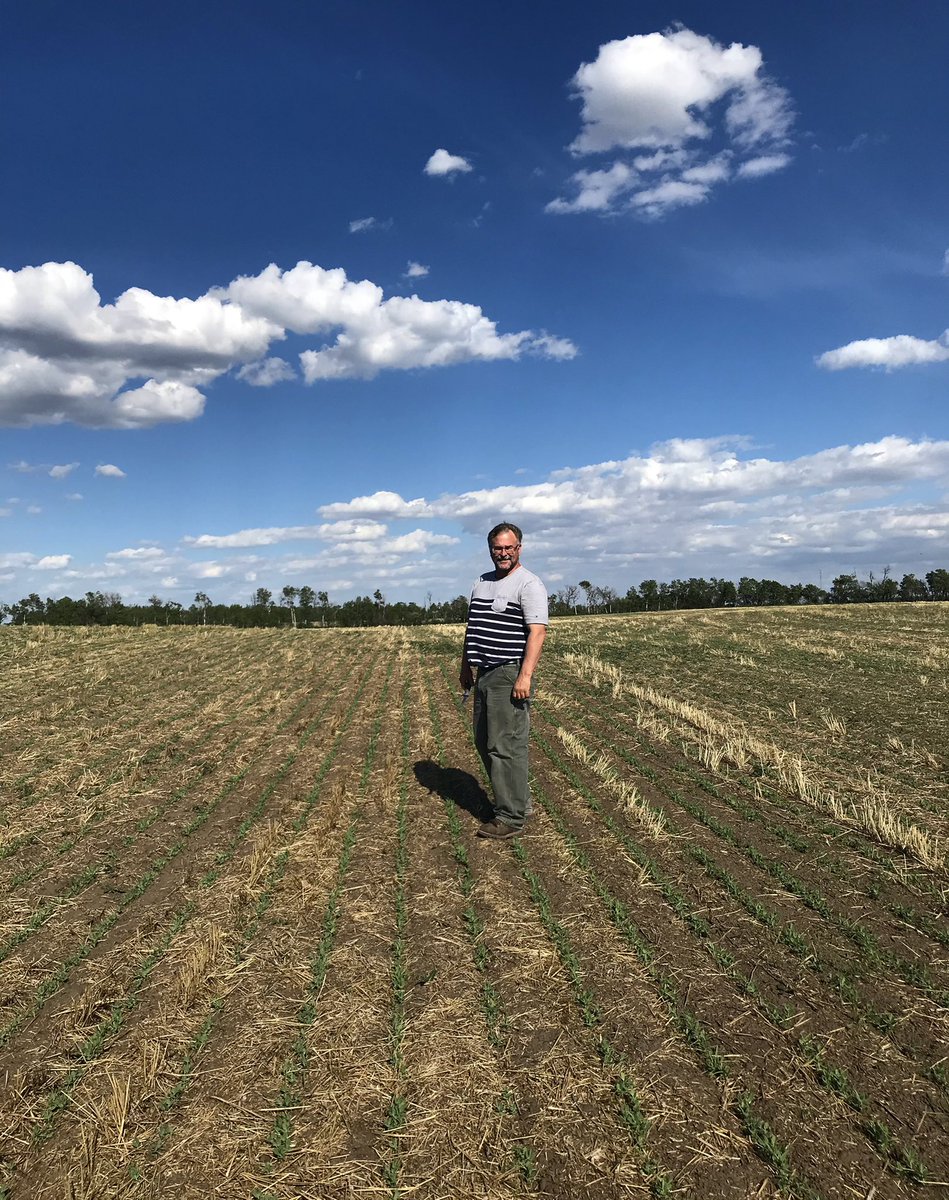 Beautiful evening to stage peas with the old man #Viper <a href="/BASFAgSolutions/">BASF Agricultural Solutions Canada</a>