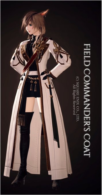 コマンダーのtwitterイラスト検索結果