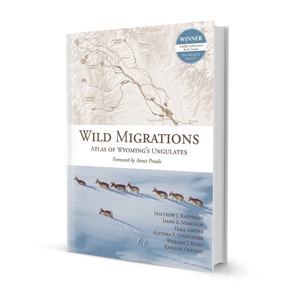 14: This info is from the #WildMigrations atlas and the 1999 archaeology report by Miller, Sanders, and Francis: The Trappers Point Site (48SU1006): Early Archaic Adaptations in the Upper Green River Basin, Wyoming. migrationinitiative.org/wild-migration…
#ibrakeformigration #knowyourcorridors