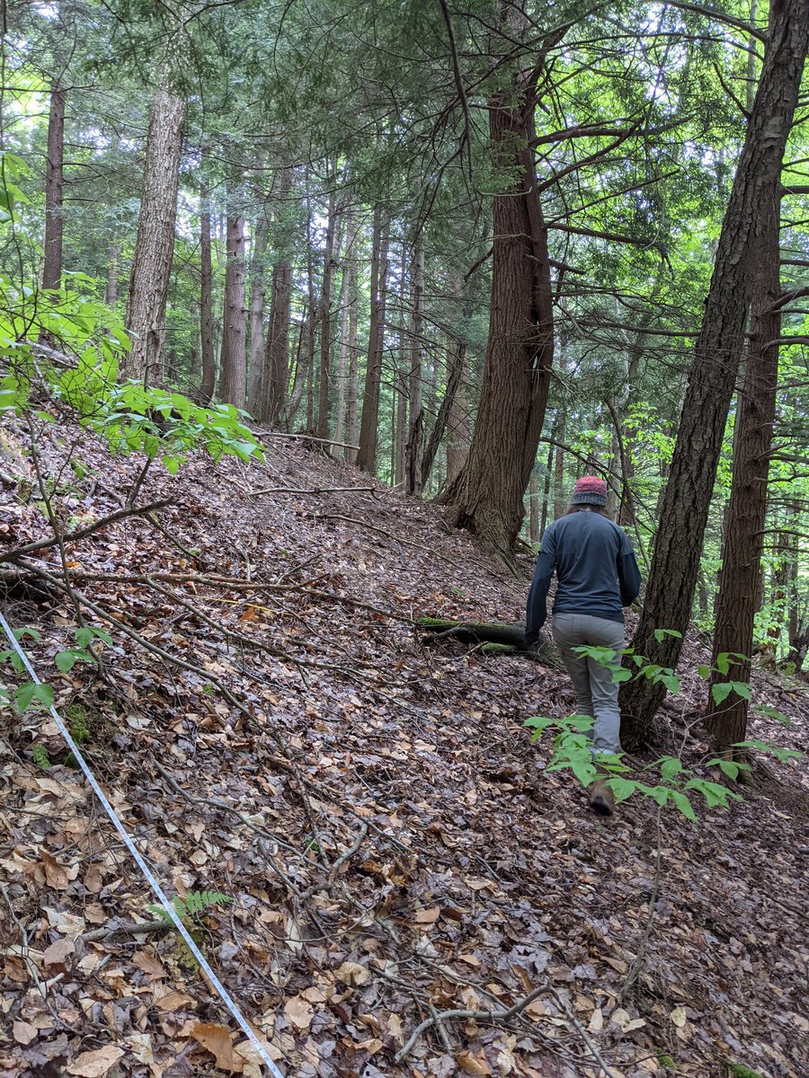 MariahSlaughte1's tweet photo. Field work is much more enjoyable with a wonderful team who tolerate me calling every ash tree we see "Francis" https://t.co/HwVOMllphc