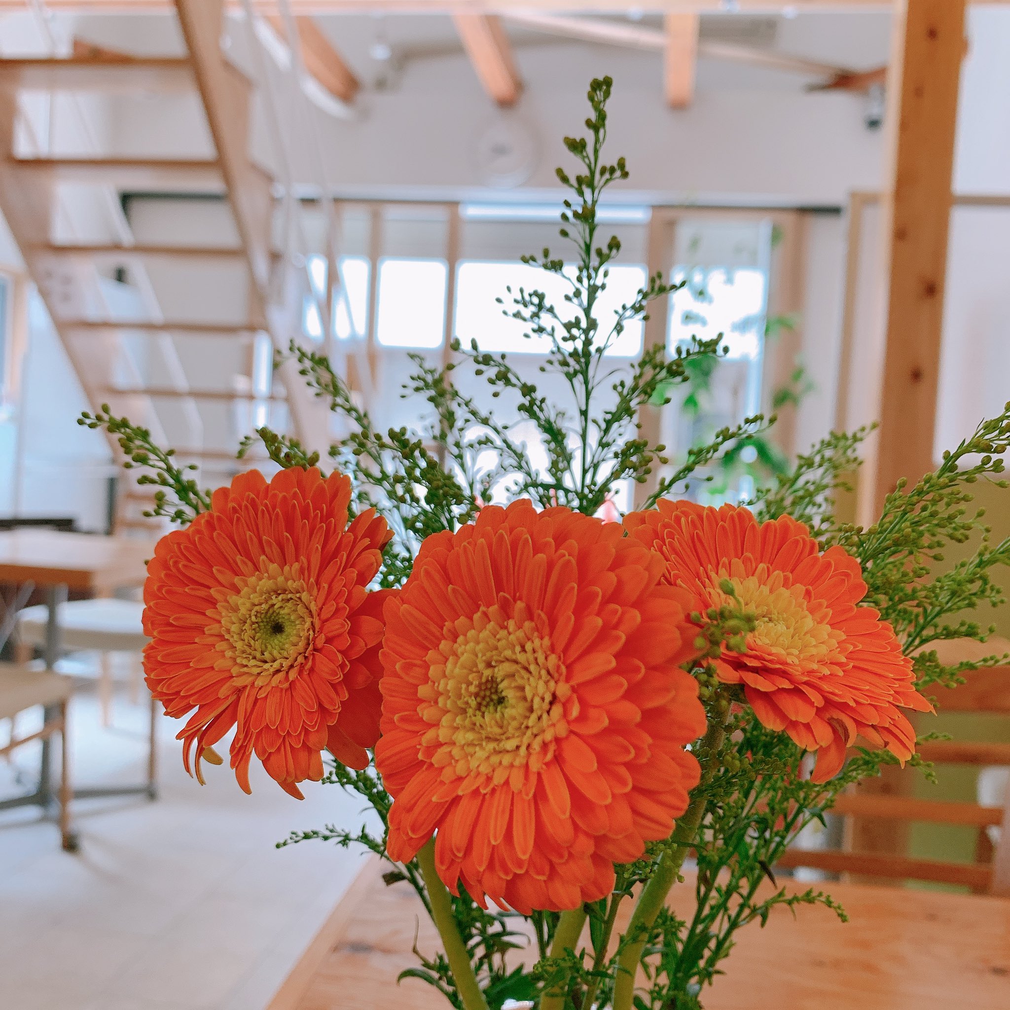 Kasai Space 西葛西にめちゃくちゃ安いお花屋さん発見 これで350円 3束で1 000円でした 屋台プロジェクトでコラボしたいなぁ 葛西スペース 本日は八菜ご飯のランチカフェ営業です 宜しくお願い致します 葛西スペース T Co