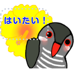 ヤンバルクイナのtwitterイラスト検索結果 ヤンバルクイナのtwitterイラスト検索結果