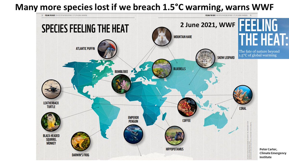 Peter D Carter tweet media