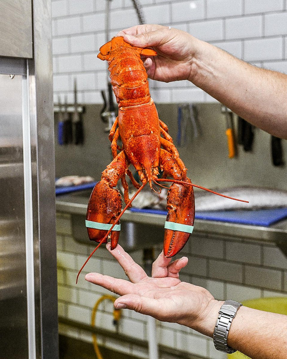 Sankey's Fishmongers tweet media