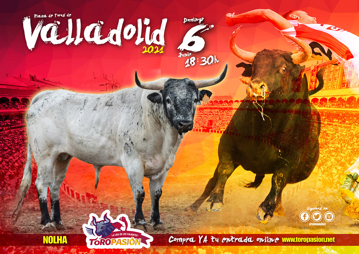 🐂 Nolha, precioso ejemplar del hierro Toropasión cuyo pelaje ensabanado capirote delata su procedencia vazqueña, vía D. Fernando Pereira Palha. Saltará al ruedo de Valladolid este domingo. ¿Qué os parece?

🎟 Compra YA tus entradas fácil y rápido 👇🏼
bacantix.com/Entradas/WebFo…