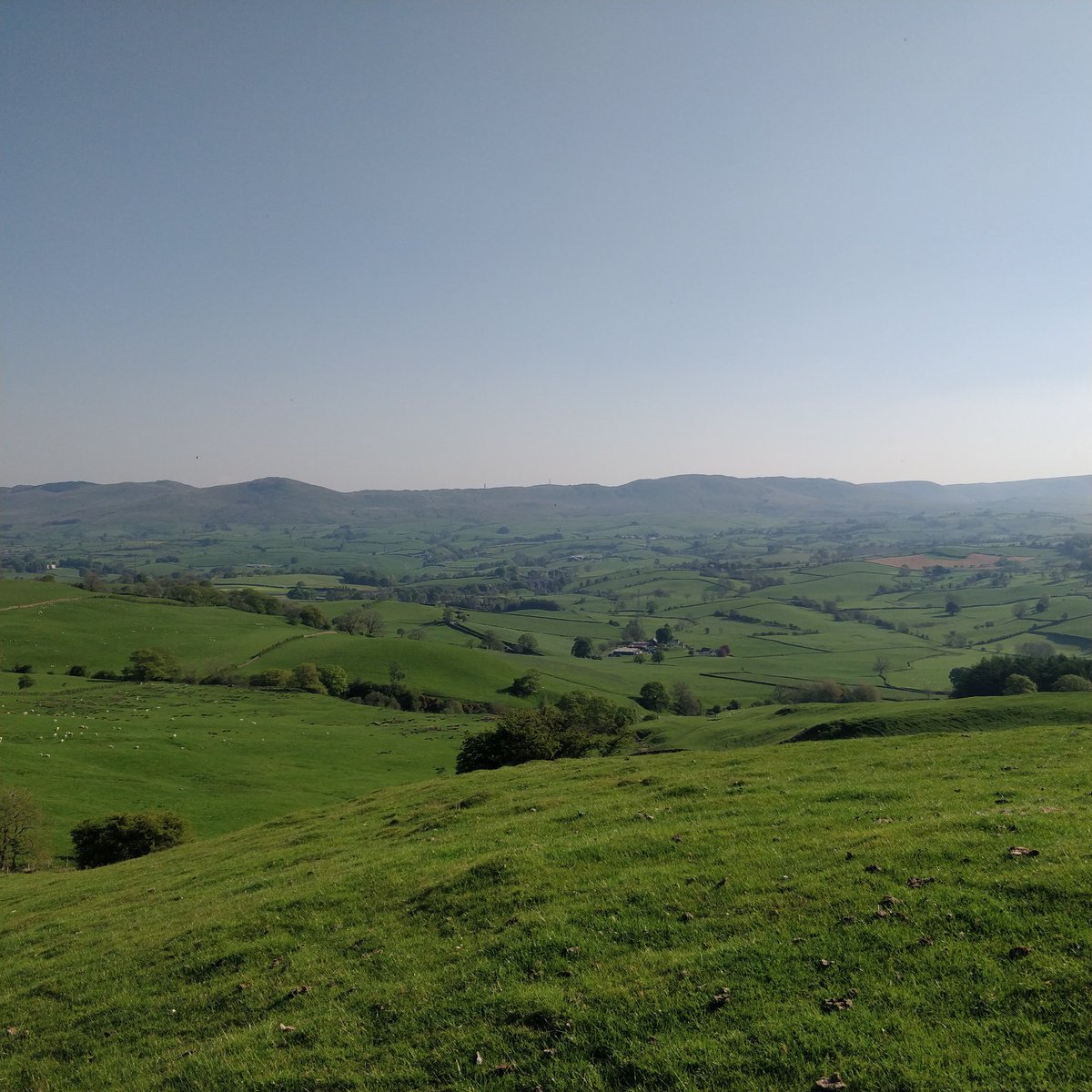 Clark Alexander tweet media