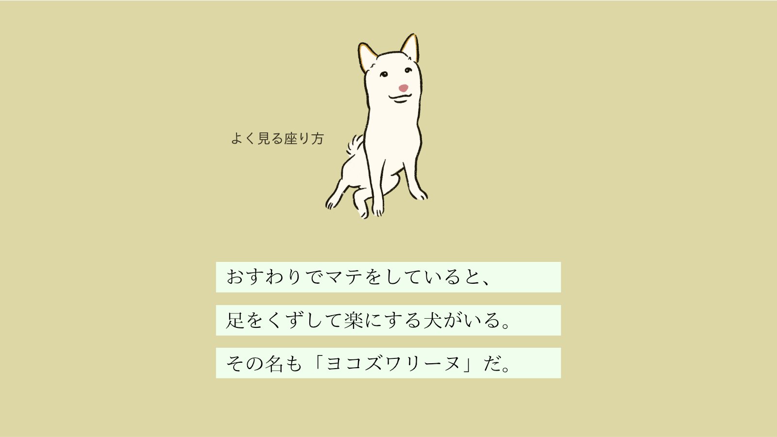 いぬころ 変な犬図鑑 書籍化 アニメ化 変な犬図鑑 No 054 ヨコズワリーヌ 足を崩して楽にするあの犬です T Co P5m5lqorvy Twitter